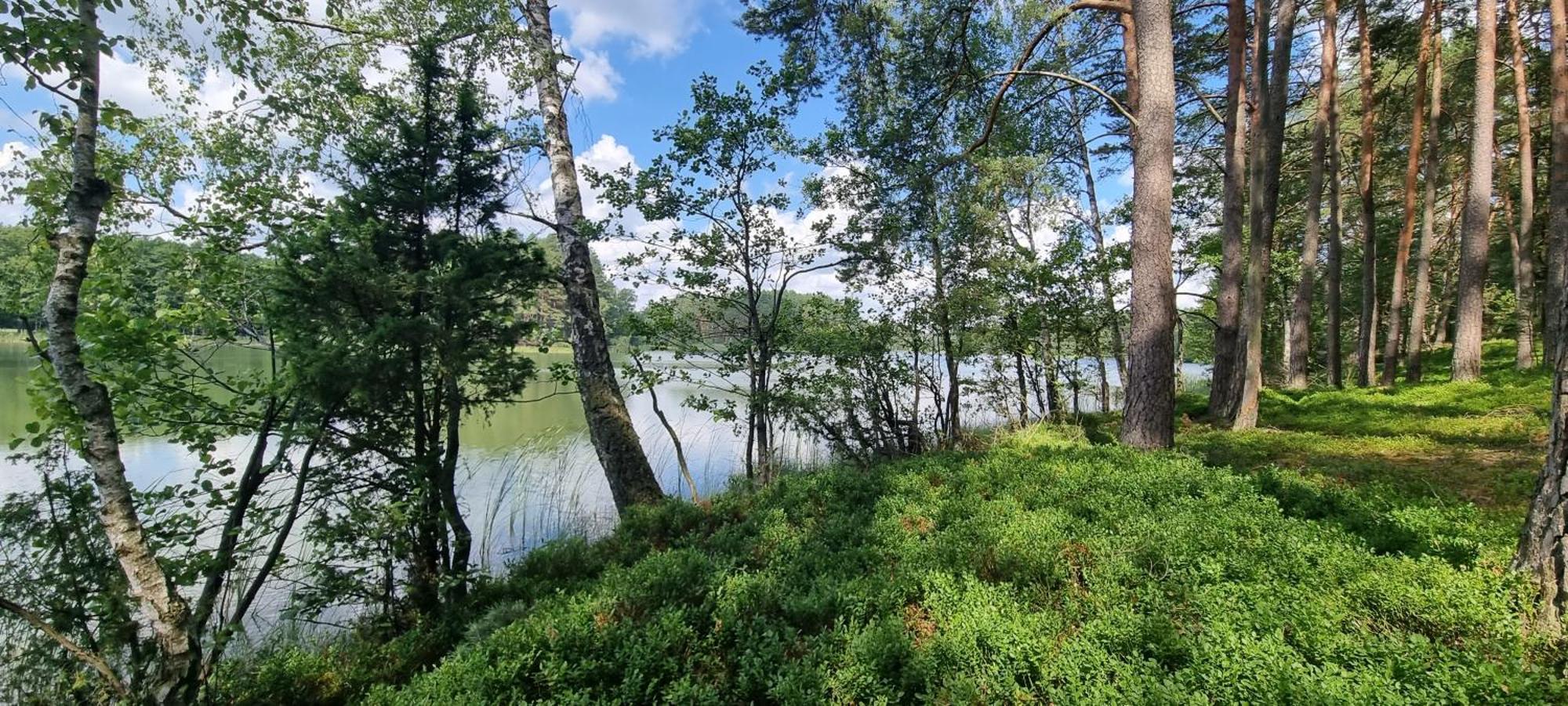 Osrodek Wypoczynkowy Soszko Vila Swornigacie Exterior foto