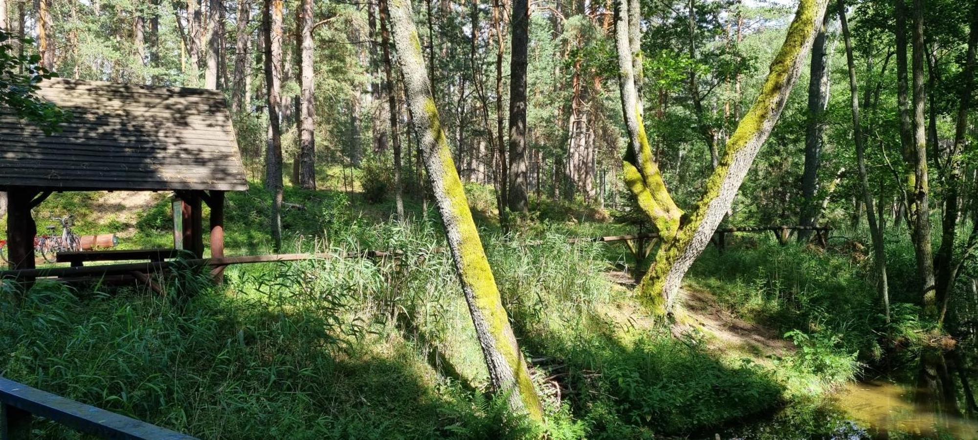 Osrodek Wypoczynkowy Soszko Vila Swornigacie Exterior foto