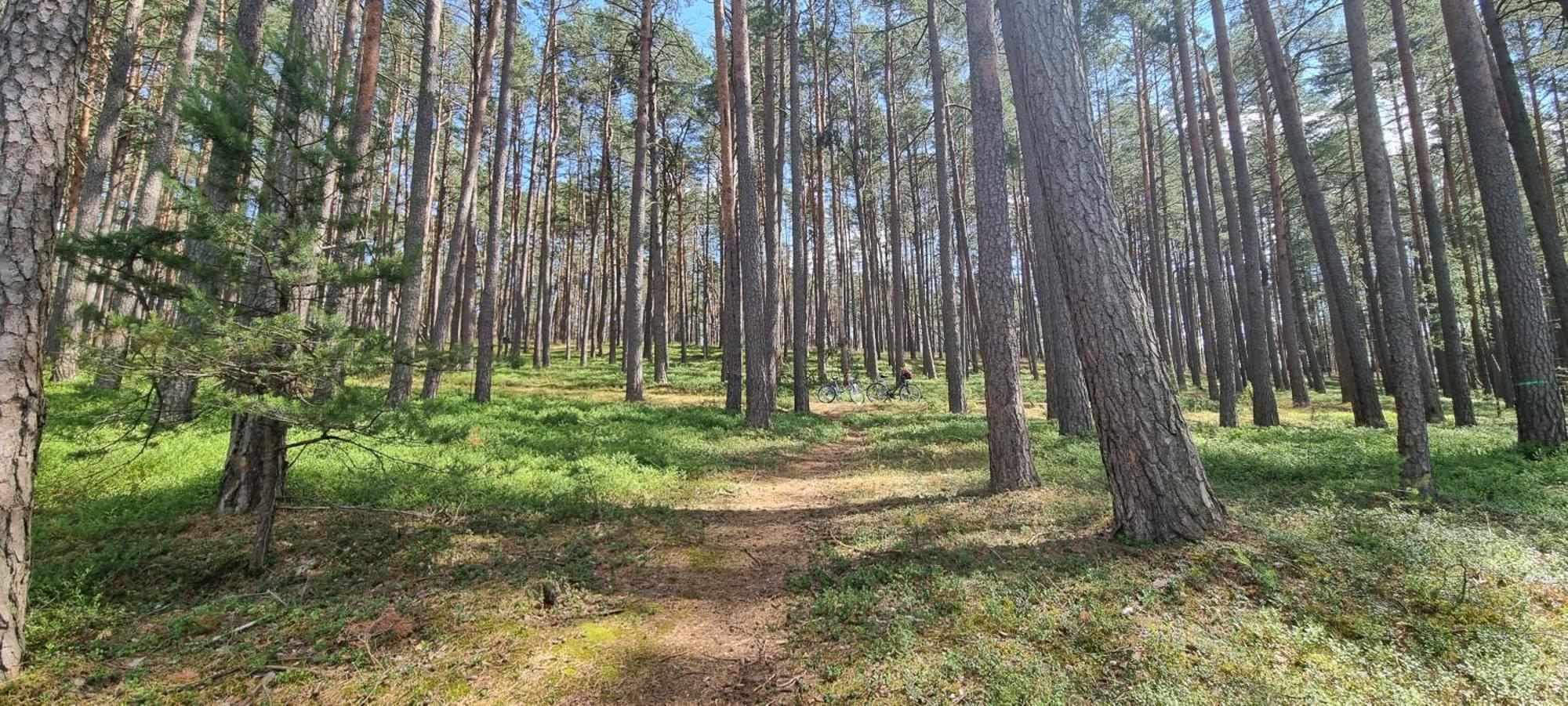 Osrodek Wypoczynkowy Soszko Vila Swornigacie Exterior foto